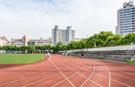 忠清道/大田